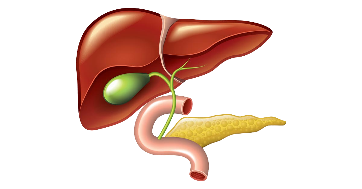 Causes Of Gall Bladder Cancer​ Image
