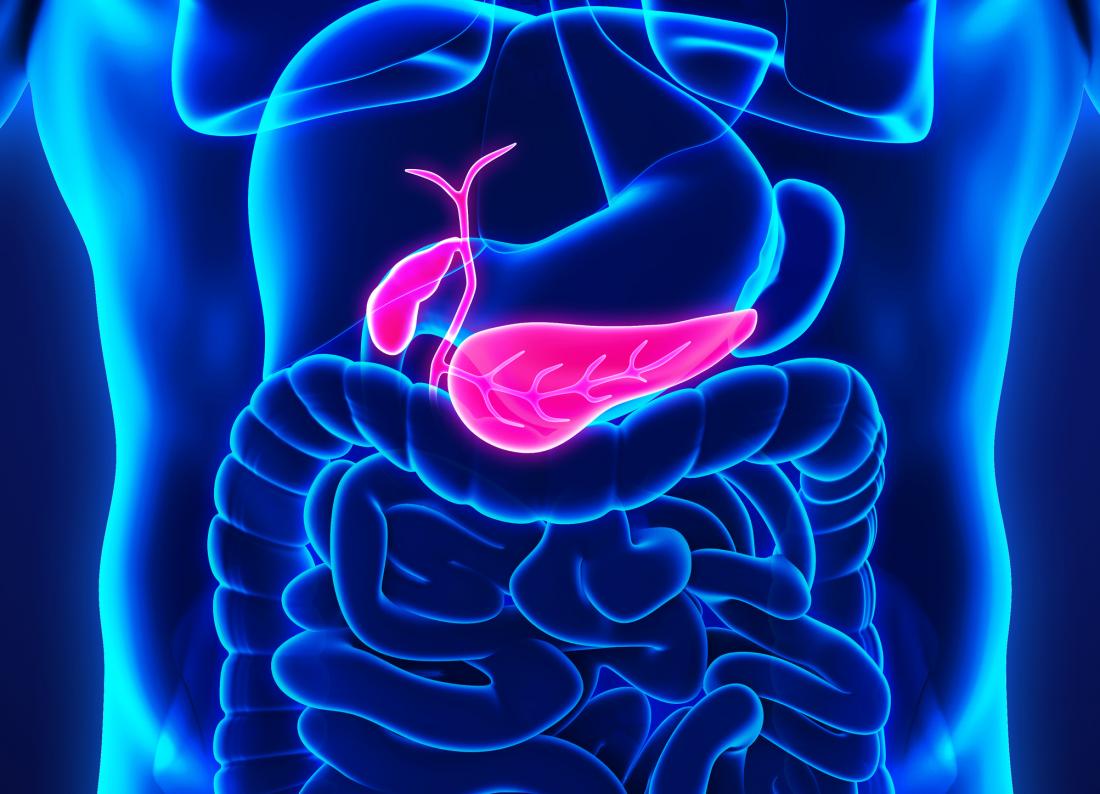 The pancreas performs two functions​
