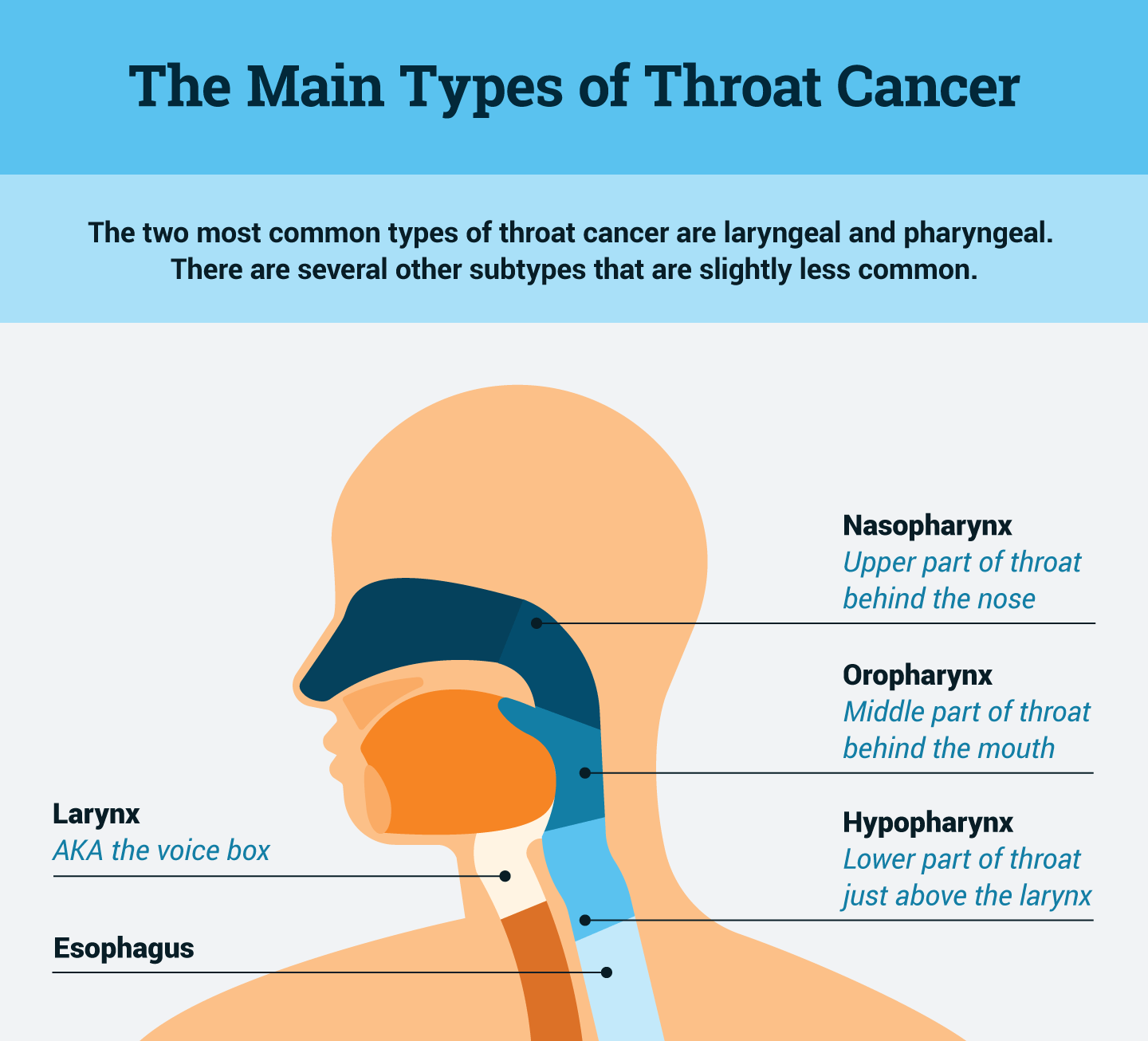 Types of Throat Cancer​